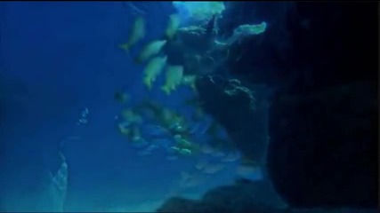 Walk With You ~ Ryan Farish [hd]