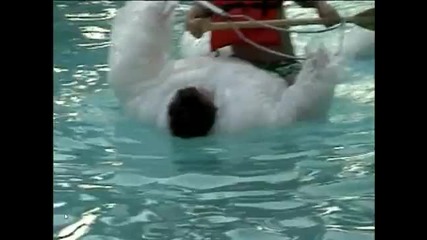 Jackass The Lost Tapes 2009 - The Human Raft