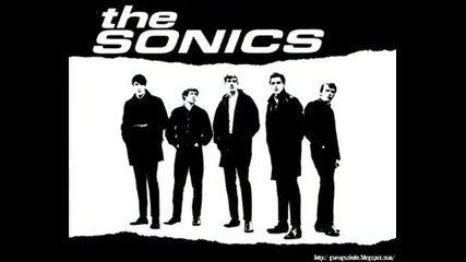 The Sonics - Money ( Thats What I Want ) - 1965 