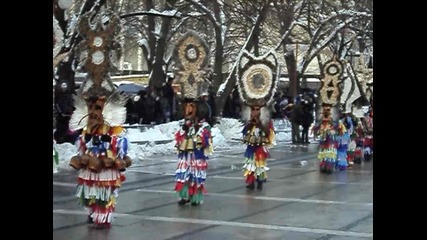 Сурва Перник 2012