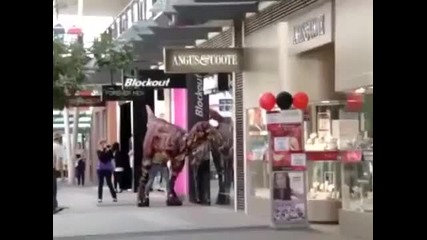 Разходка с домашният любимец в Мелбърн!