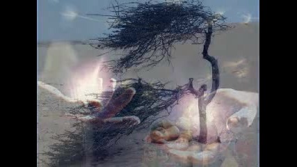 Abba Pather ~ Padre Nostro 