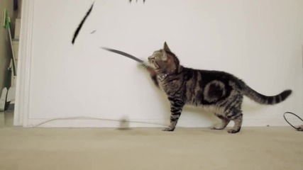 Котка X-men