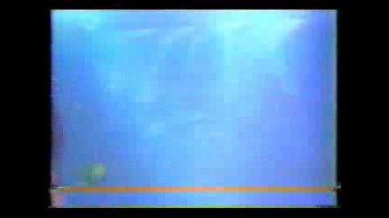 Chris Duran - Ella Se Va Live
