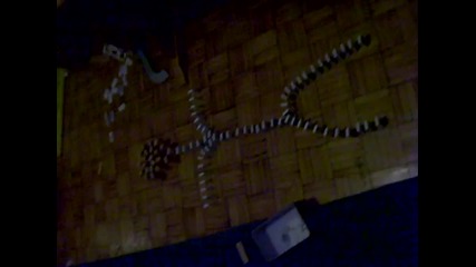 Domino Trick