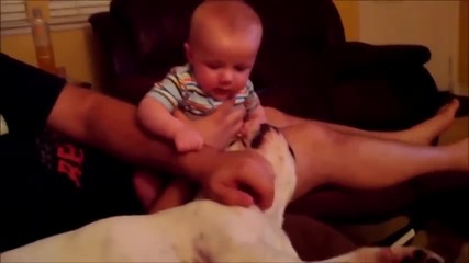 Смешни случки между бебета и кучета ( Компилация )
