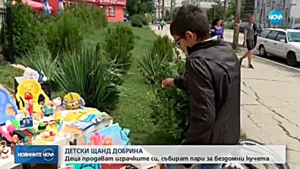 Деца продават играчките си, събират пари за бездомни кучета