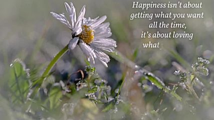Enjoy Your Day Boccherini-minuetto