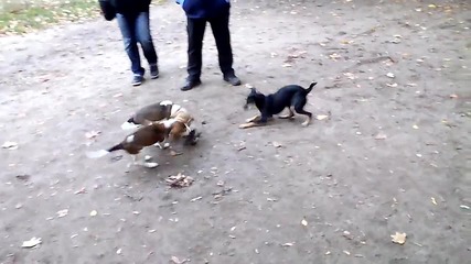 Vid_20141024_173336