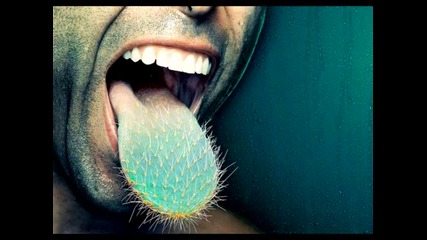 «» Minimal™ «»