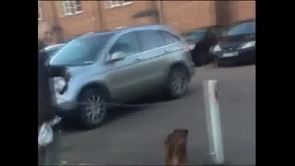 Куче много добре балансира върху синджир