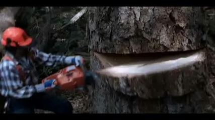 Husqvarna Xp Chainsaw 