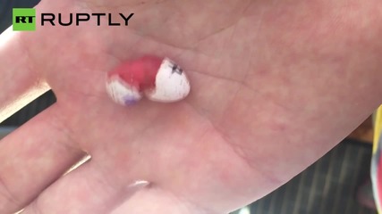 Baby Bird Hatches on the Palm of Scientist’s Hand