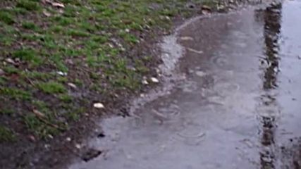 Дъжд вали в Разград и веднага замръзва на ледени капсули!