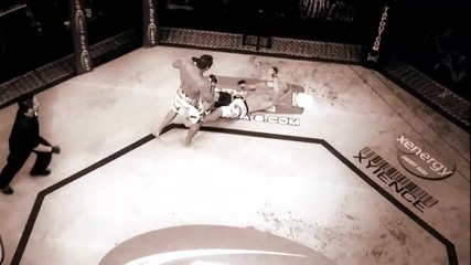 Ufc 157- Preview
