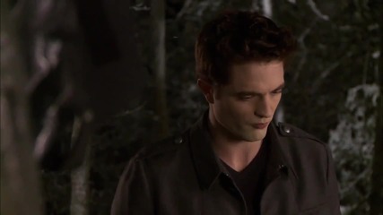 The Twilight Saga Breaking Dawn Part 2