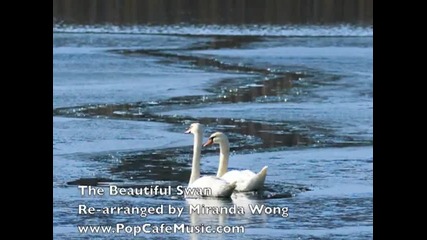 The Beautiful Swan - Classical Wedding Music Re - arranged by Miranda Wong