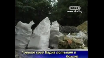 Горите край Варна потъват в боклук,  а уж глобата е 500лв
