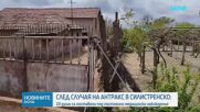 Заради антракса в Силистренско: 24 души са под медицинско наблюдение и се лекуват с антибиотици