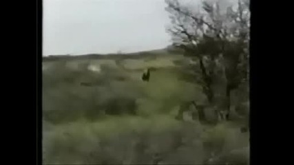 Компилация от смешки !