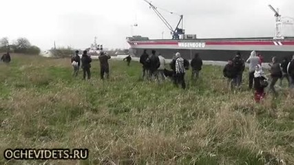 Изненада за публиката-смях