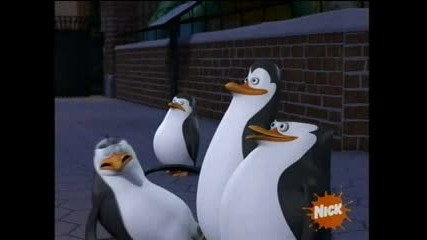 The Penguins of Madagascar - Lemur See Lemur,  Misfortune Cookie Сезон 1 Епизод 22 - 23 hq