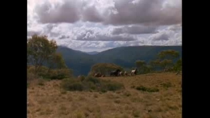 The Silver Brumby - Сребърният жребец Part 3