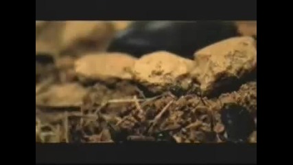 Rammstein - Links 2 3 4 
