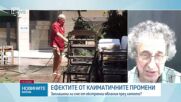 Изследовател във Федералния институт за технологии в Лозана: Процесите по промяната на климата се ускоряват, това води до екстре