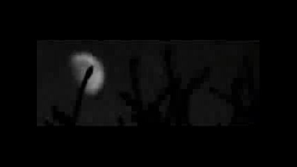Wim Mertens - Struggle for Pleasure 
