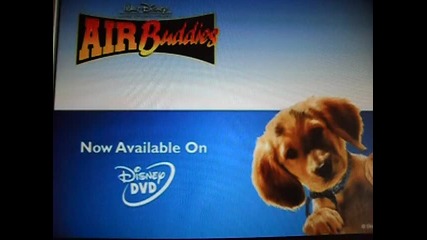 Air Buddies