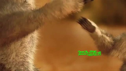 Звездата на футбола - Pepsi 