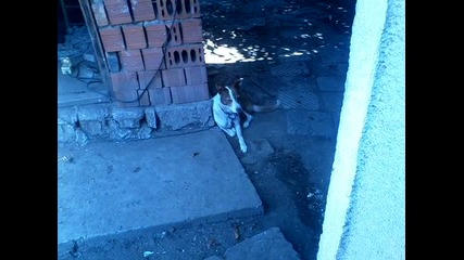 Vid_20140731_112358