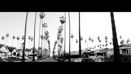 Jensen Kirk - iwonder 