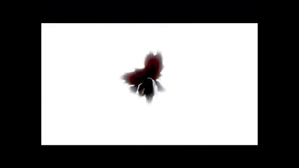 Bleach amv ( ichigo vs his inner hollow ) - Adrenalin