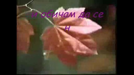 Адамо - Обичам