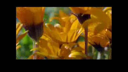 Discovery Channel Planet