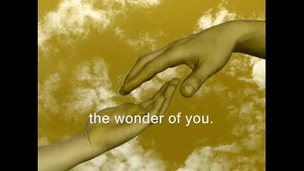 The Wonder Of You - Ray Peterson 