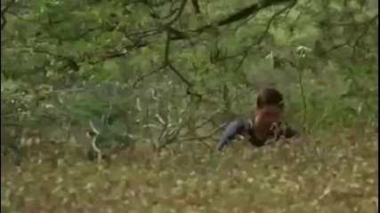 Lost Сезони 1 - 5 Събрани в 8 Минути и 15 Секунди 