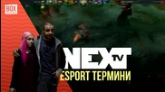 NEXTTV 013: Esports Алманах