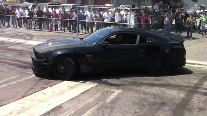 Mustang Burnout in Los Angeles