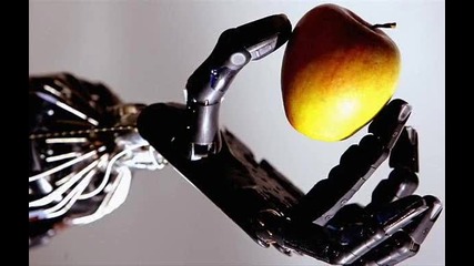 Paul Van Dyk - Forbidden Fruit 