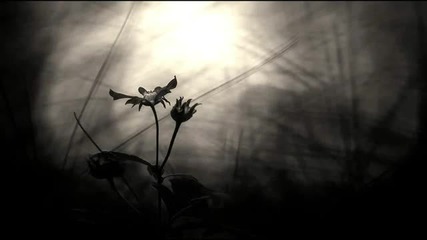 Martin Garcia - Last Beautiful Flower (original Mix)