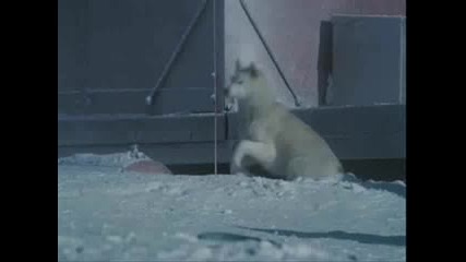 Eight Below - Right Here Waiting For You