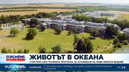 Стартира най-голямата програма за откриване на нови морски видове