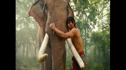 Fight Scene Tom Yum Goong2