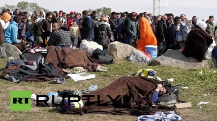 Austria: Hundreds of refugees reach the border town of Nickelsdorf