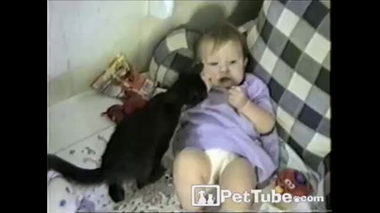 Коте краде от бебе # смях