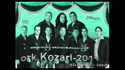9.trak album .2011.орк Козари dj.pirata