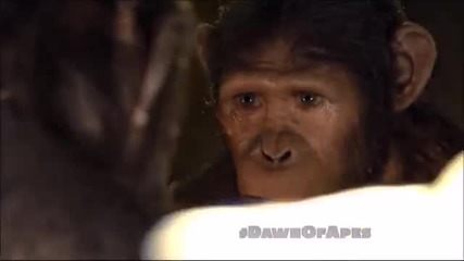 маймунска им работа =)) - Dawn Of The Planet Of The Apes